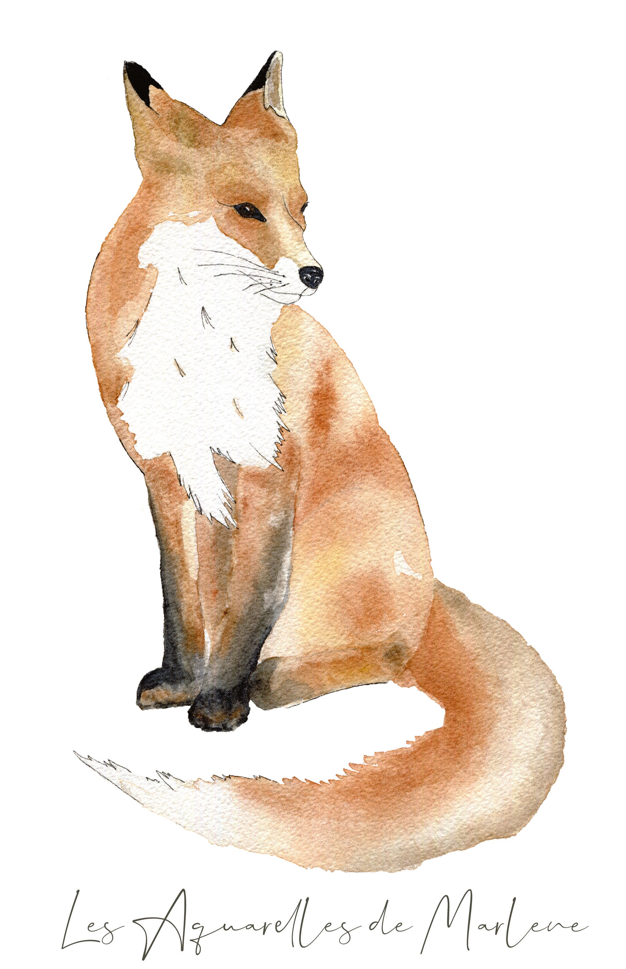 Affiches aquarelle animaux pour décoration chambre bébé et enfant