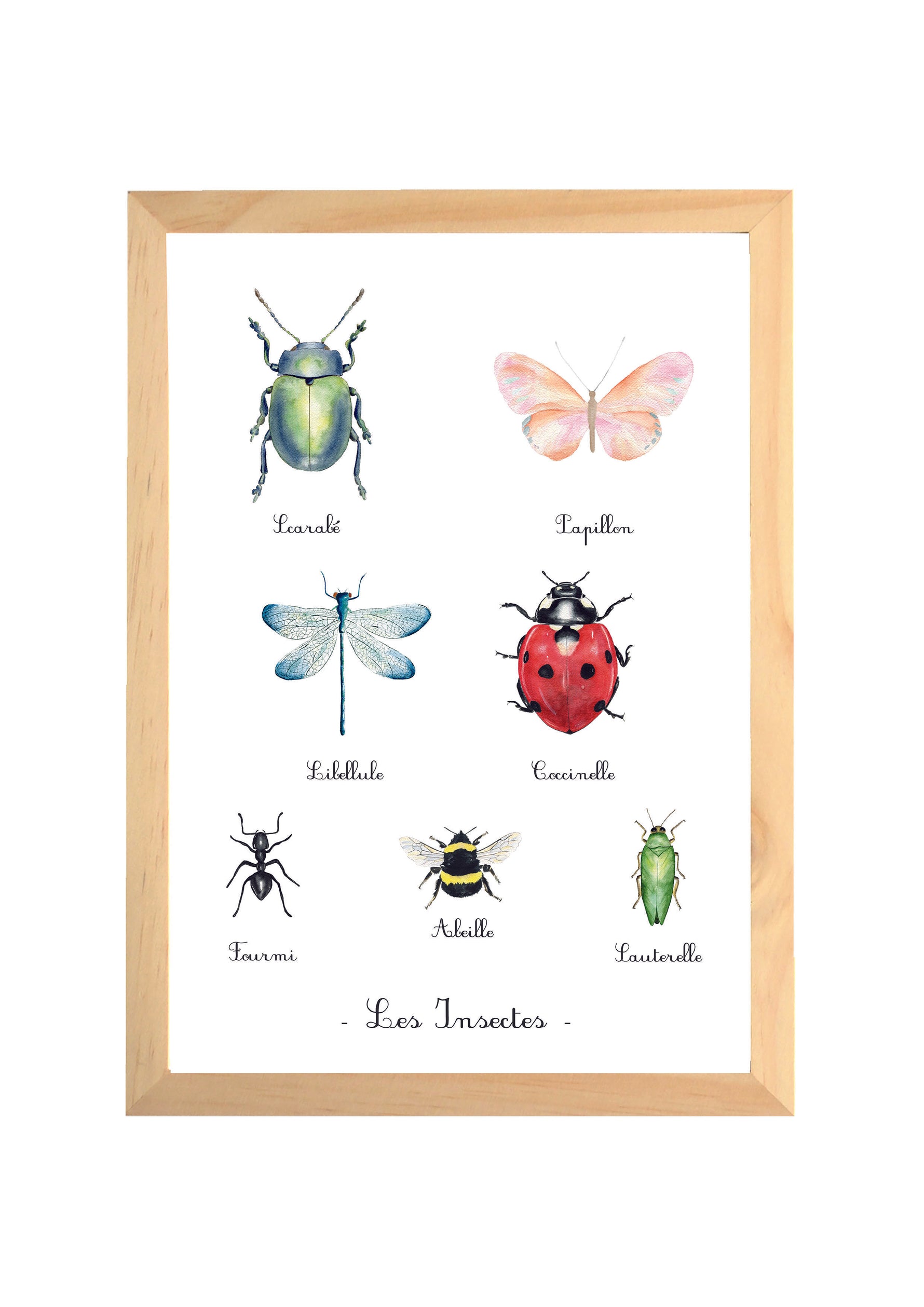 Affiche illustration aquarelle "Les insectes" image 0