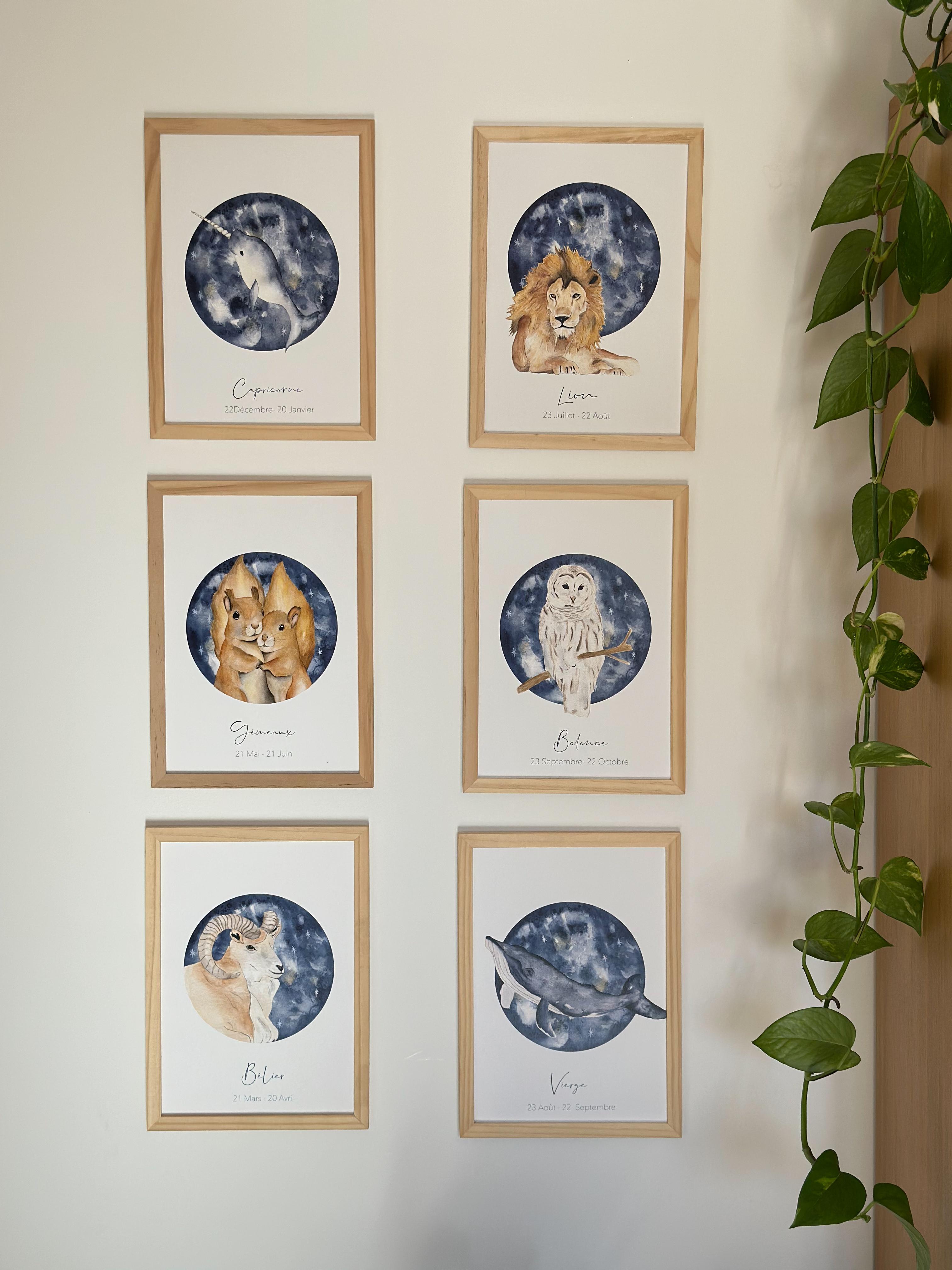 Signe Astrologique