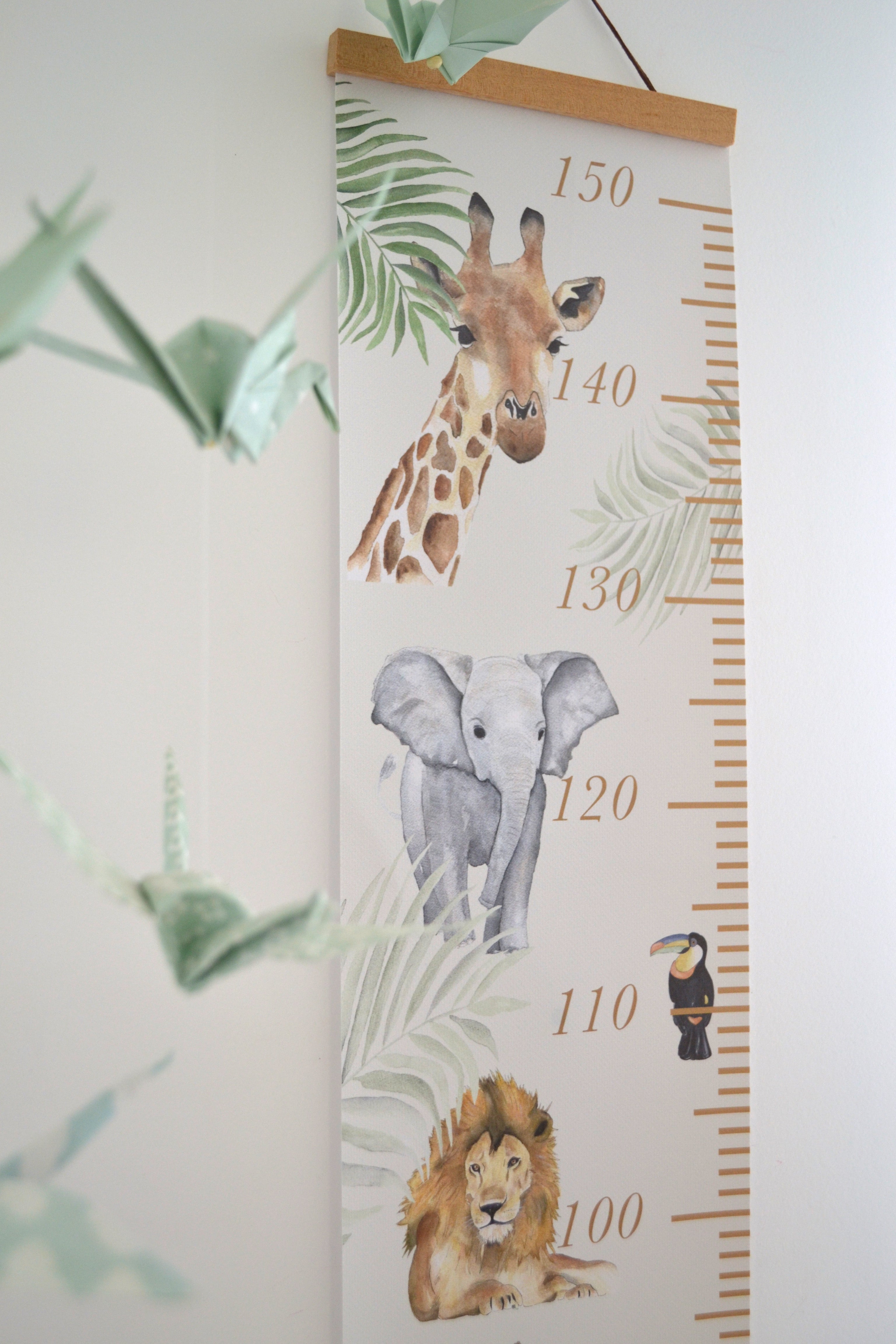 Toise animaux