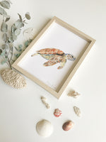 Cadre affiche aquarelle Tortue de Mer Sam image 5