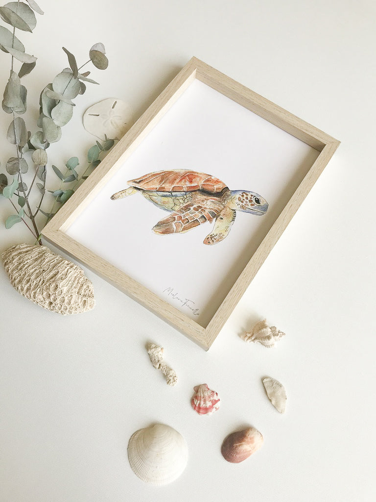 Cadre affiche aquarelle Tortue de Mer Sam image 5