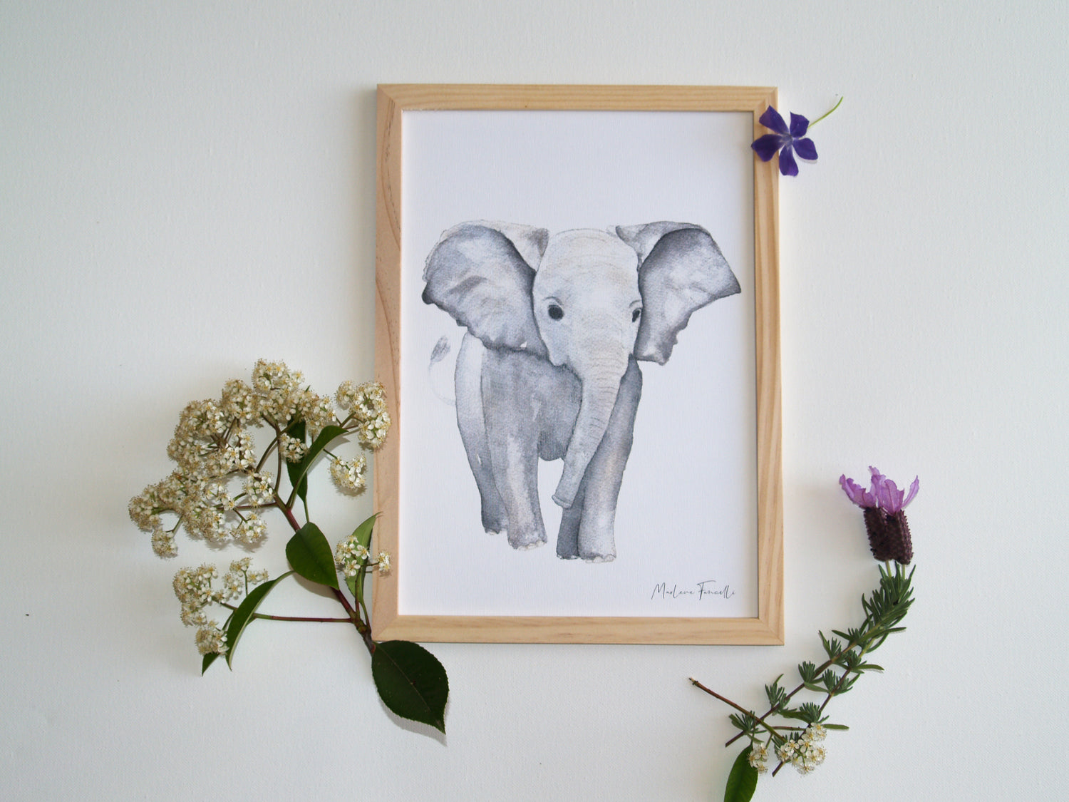 Cadre affiche aquarelle Eléphant Louis image 1