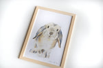 Cadre affiche aquarelle Lapin Bélier Zoupi image 4
