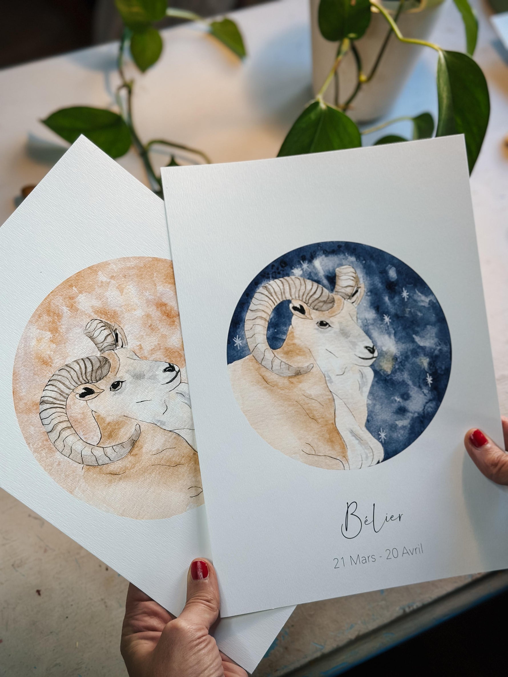 Illustration Aquarelle Signe Astrologique Bélier image 3
