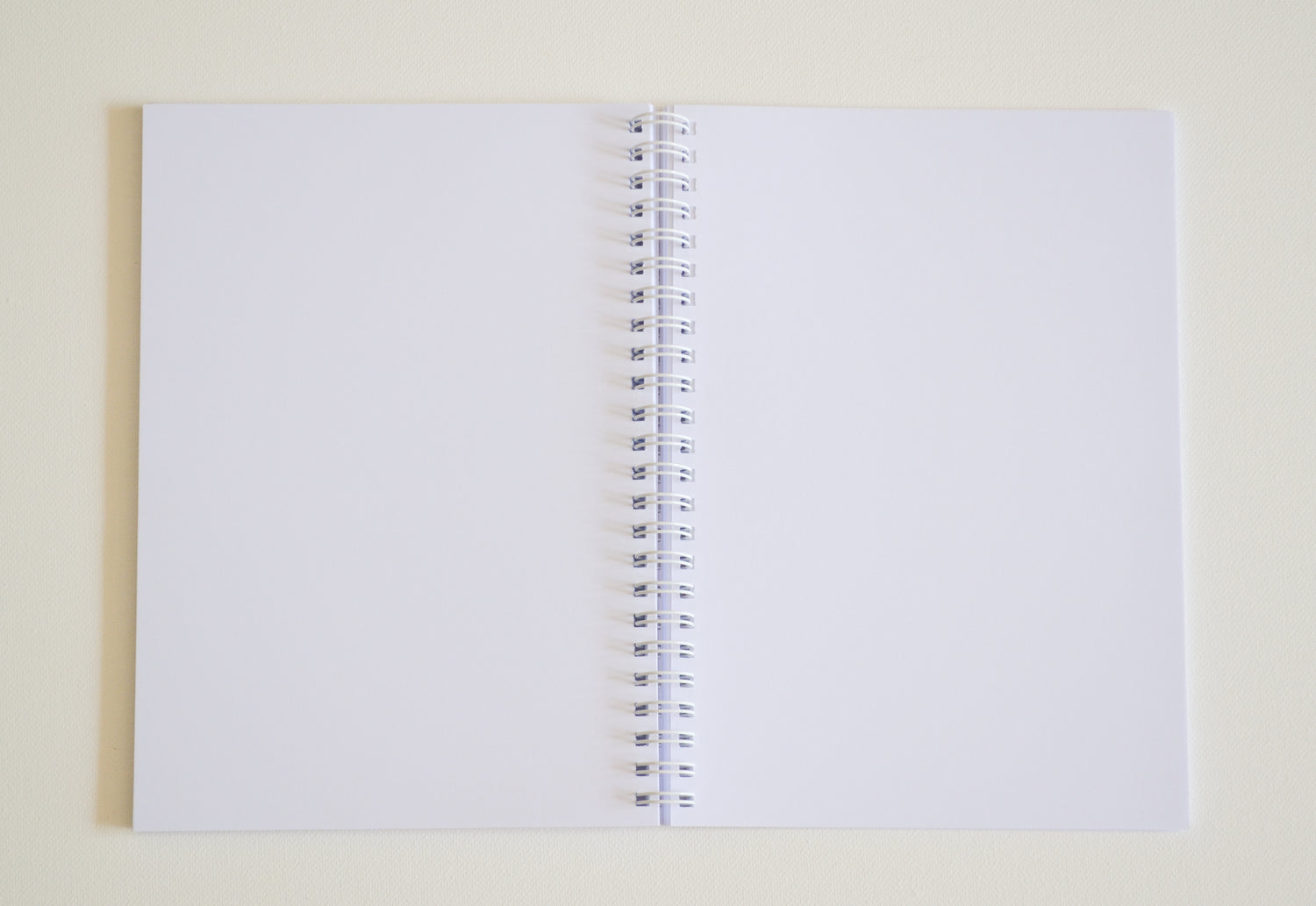 Carnet Hérisson image 4