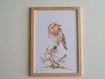 Cadre affiche aquarelle Oiseau Judi image 3