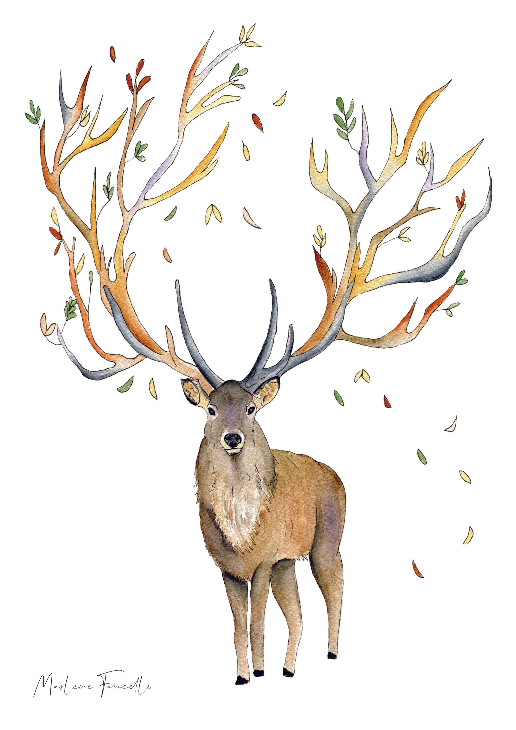 Cadre affiche aquarelle Cerf Miral image 4