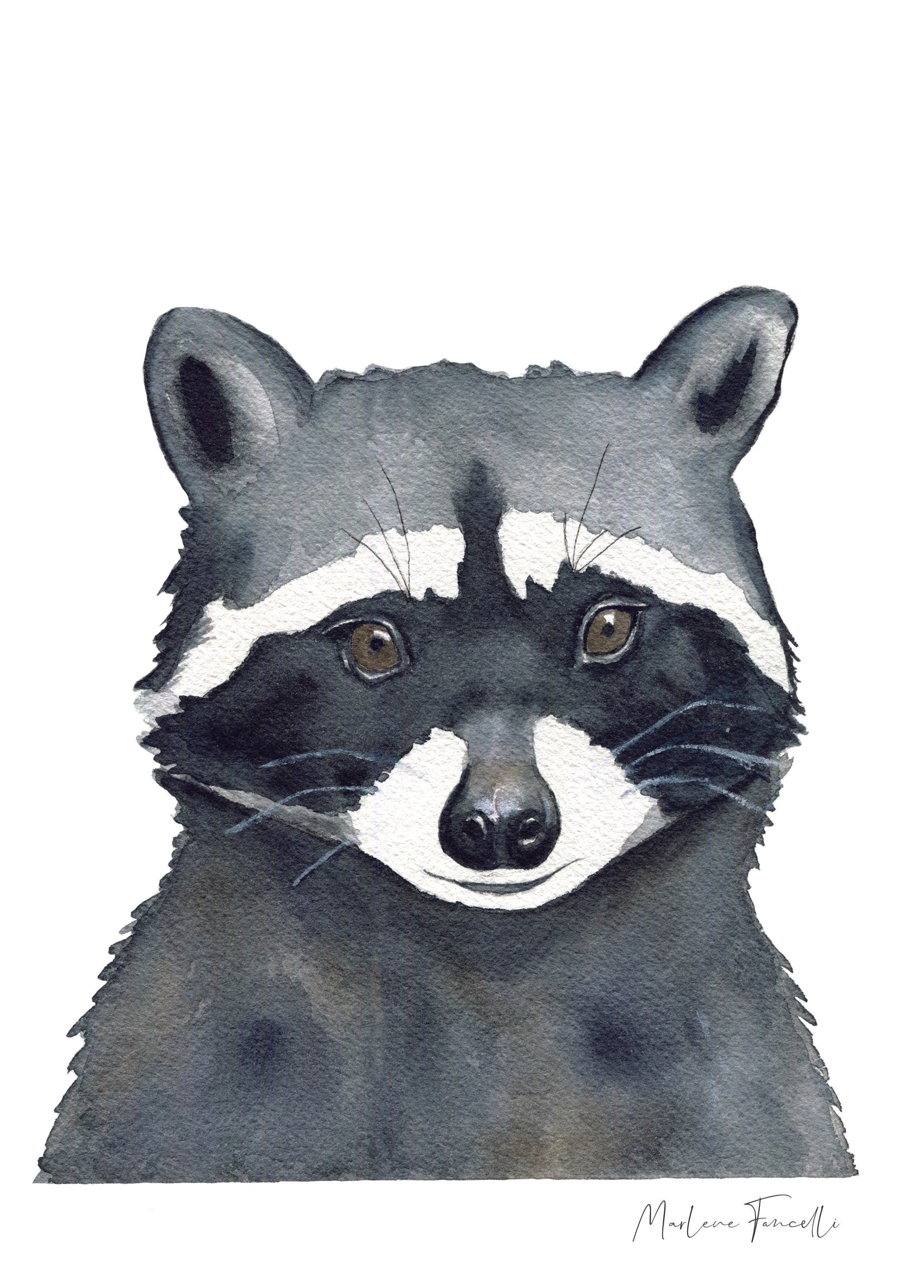 Cadre affiche aquarelle Raton Laveur Eddy image 5