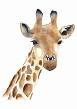 Cadre affiche aquarelle Girafe Séraphin image 2