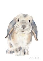 Cadre affiche aquarelle Lapin Bélier Zoupi image 5