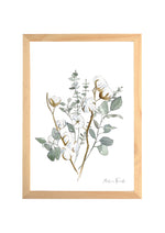 Cadre affiche aquarelle Fleurs de coton & Eucalyptus image 0