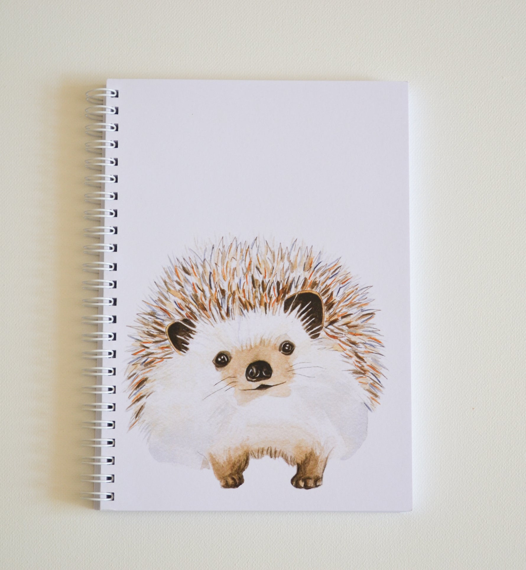 Carnet Hérisson image 0