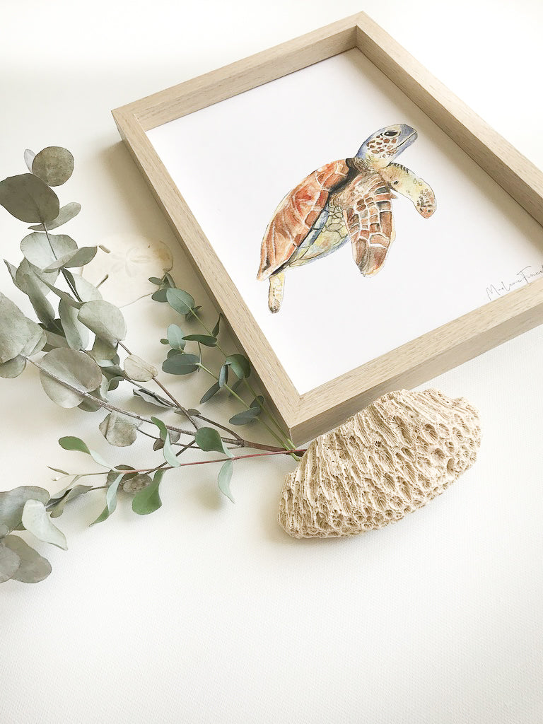 Cadre affiche aquarelle Tortue de Mer Sam image 6