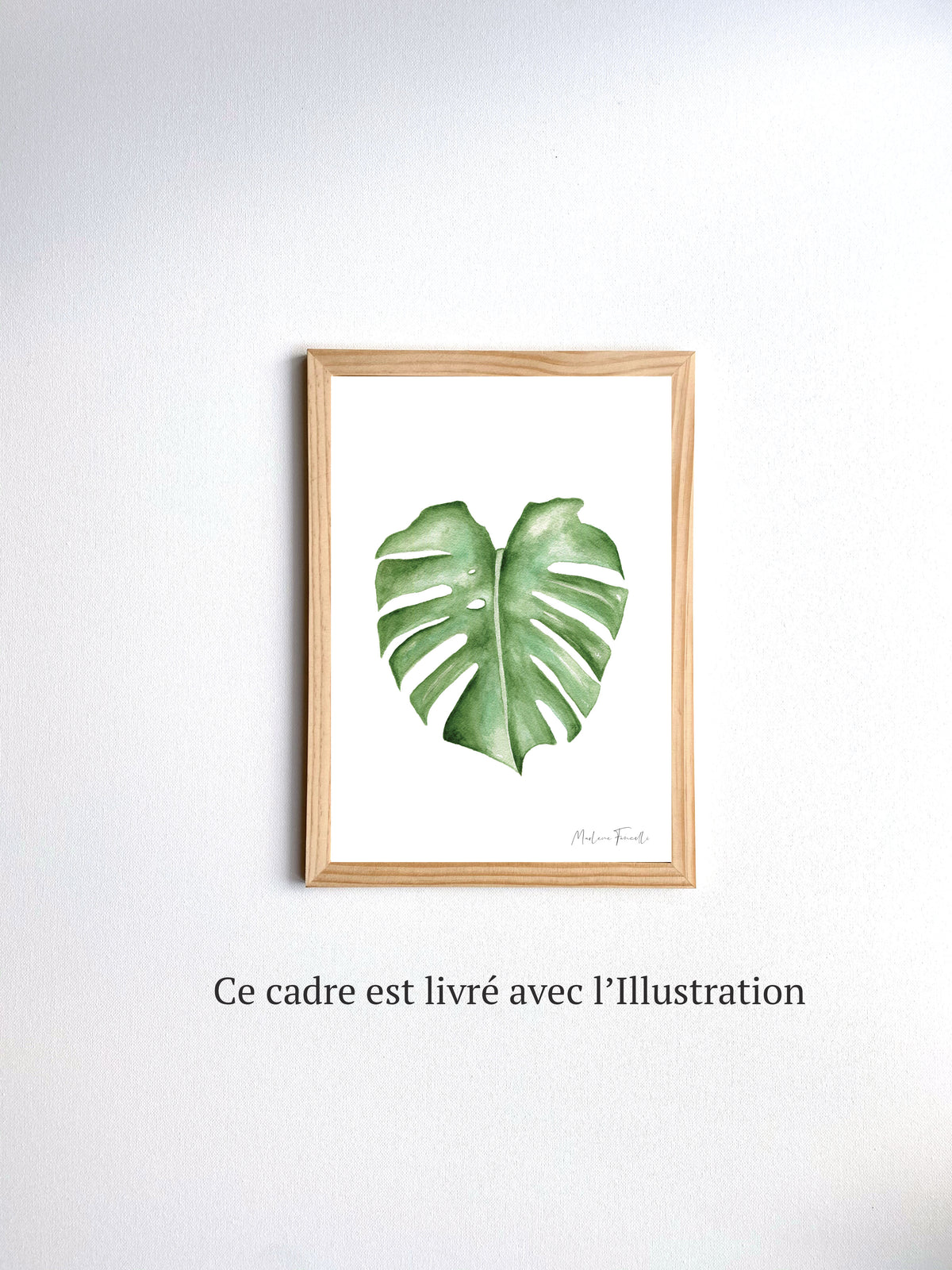 Cadre affiche aquarelle Feuille Monstera image 5
