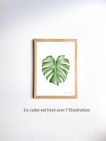 Cadre affiche aquarelle Feuille Monstera image 5