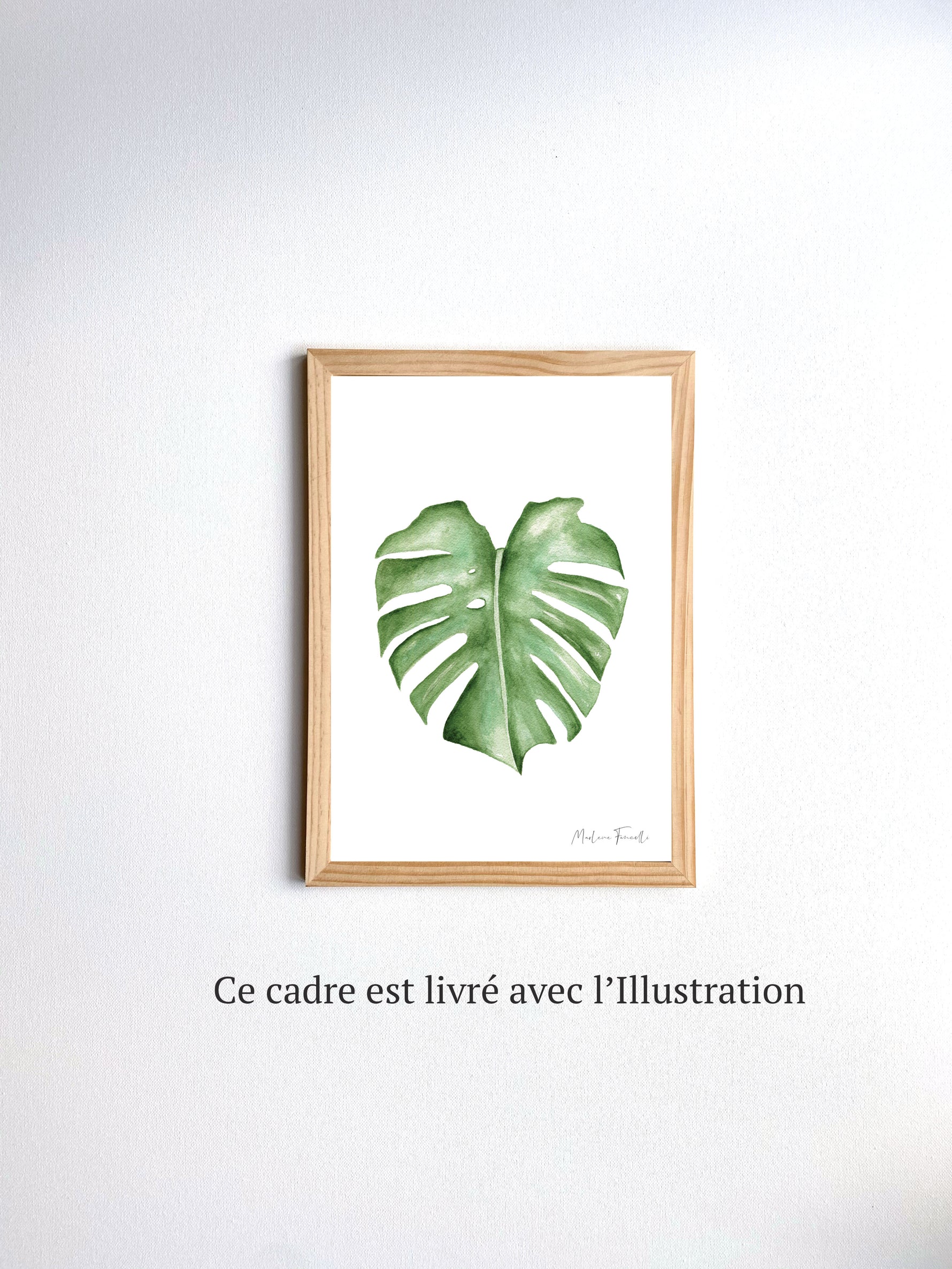 Cadre affiche aquarelle Feuille Monstera image 5