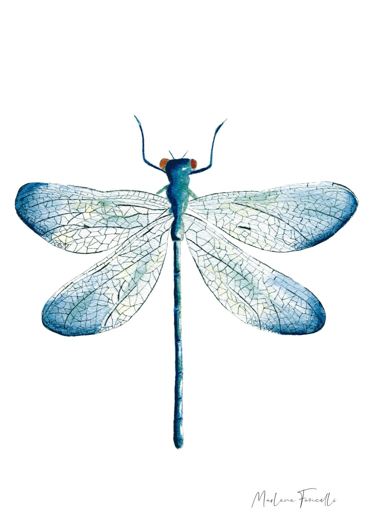 Cadre avec affiche aquarelle Libellule image 1