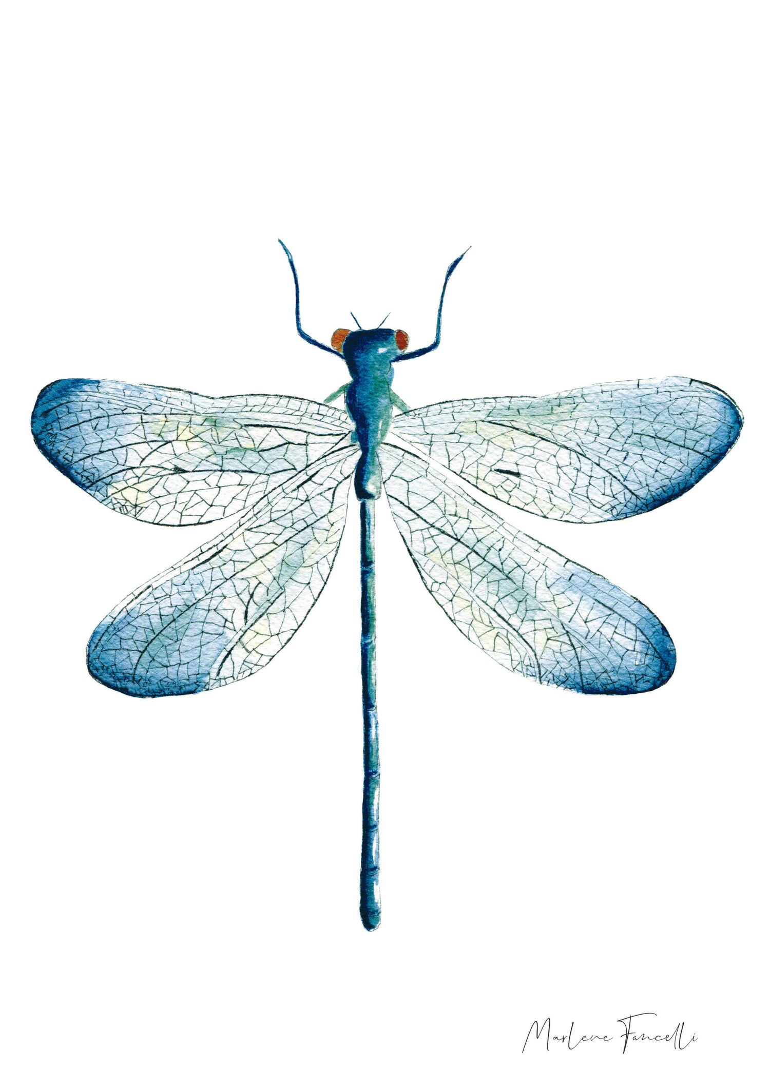 Cadre avec affiche aquarelle Libellule image 1