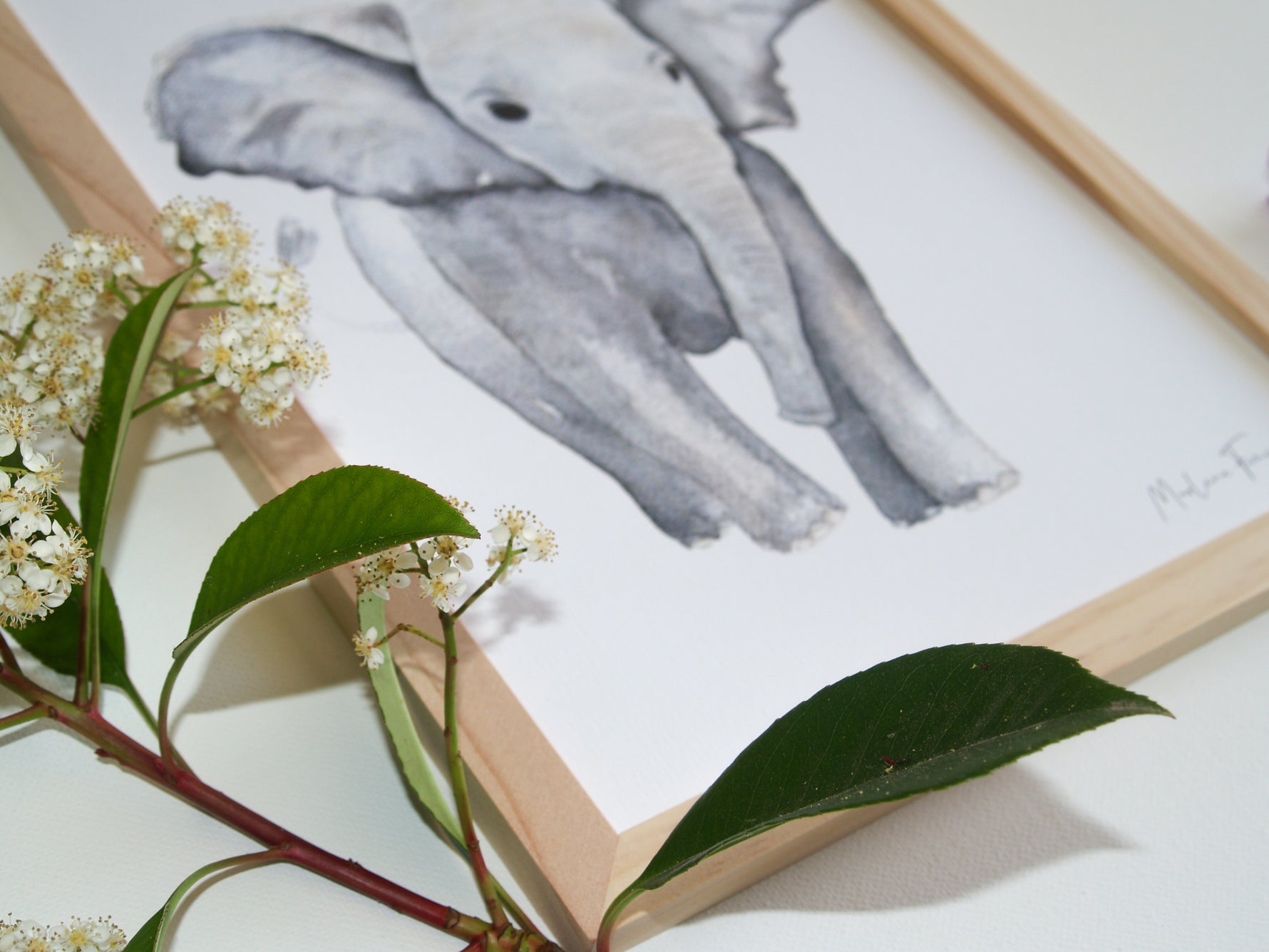 Cadre affiche aquarelle Eléphant Louis image 6