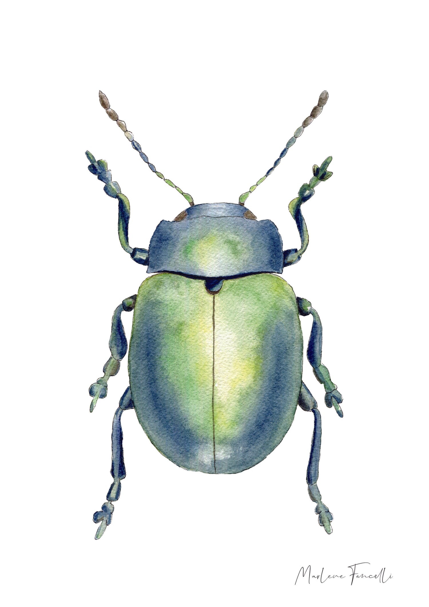 Cadre avec affiche aquarelle Scarabée image 1