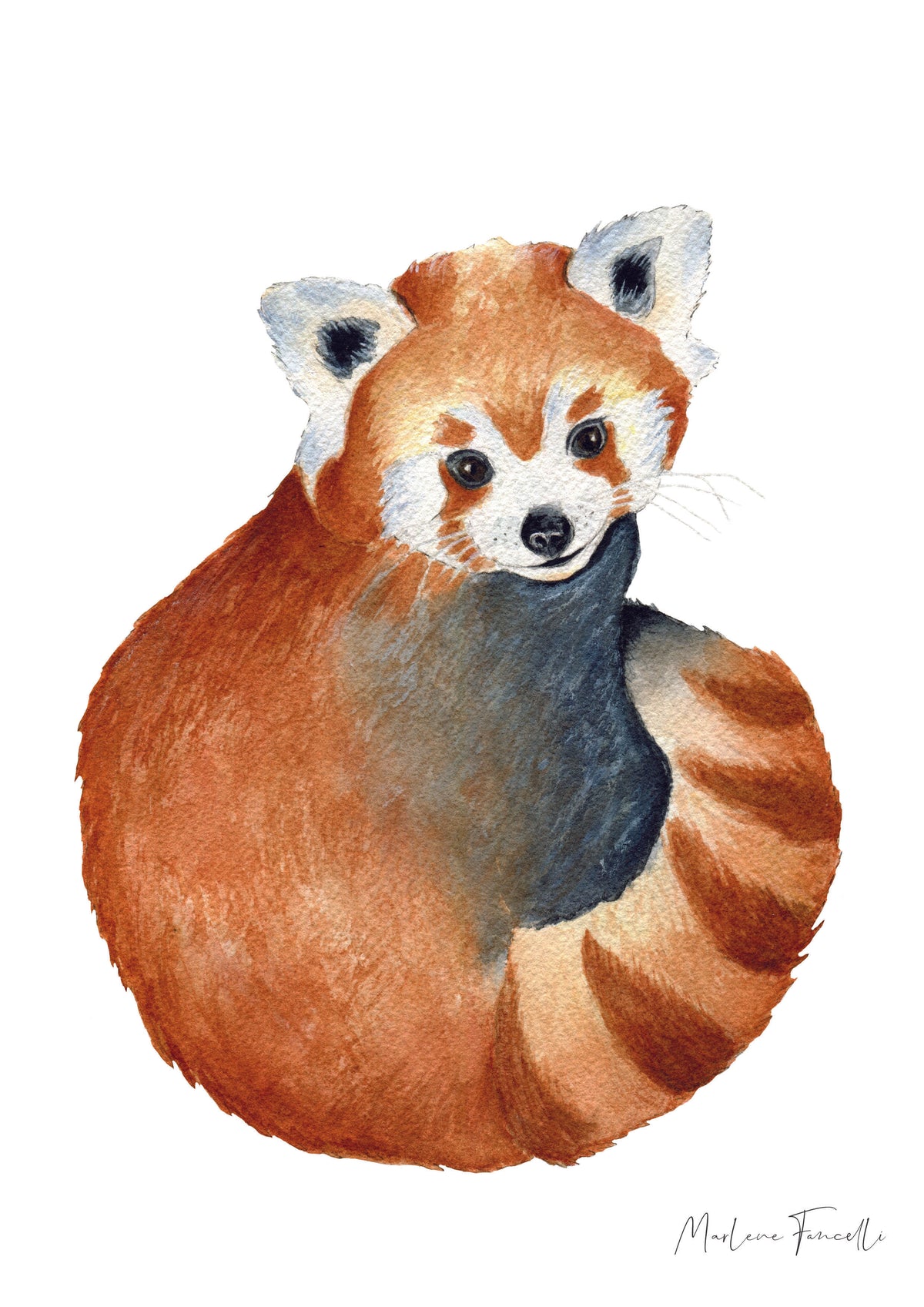 Cadre affiche aquarelle Panda Roux Marius image 8