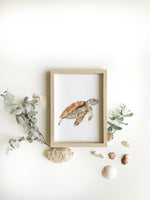 Cadre affiche aquarelle Tortue de Mer Sam image 1