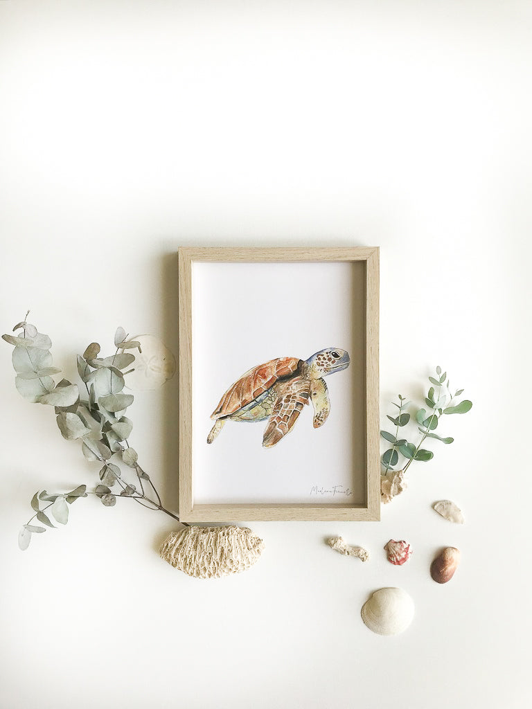 Cadre affiche aquarelle Tortue de Mer Sam image 1