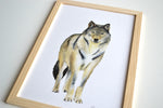 Cadre affiche aquarelle Loup Milo image 1