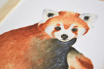 Cadre affiche aquarelle Panda Roux Marius image 6