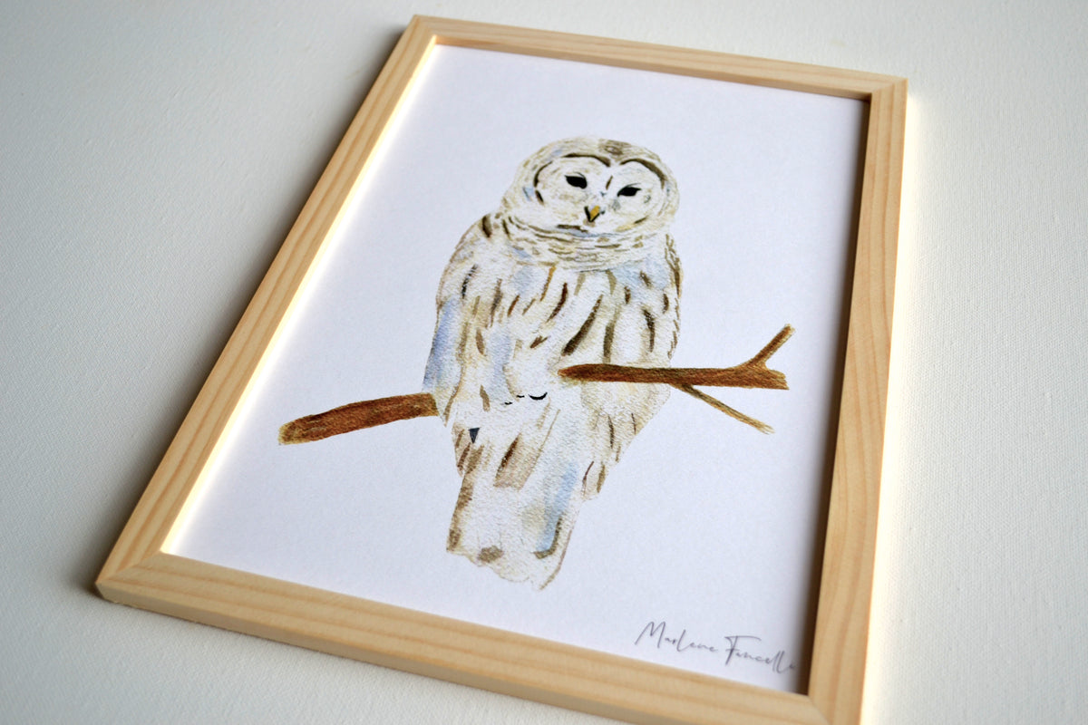 Cadre affiche aquarelle Chouette Edwige image 3
