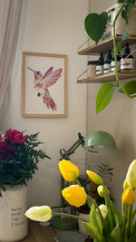Cadre affiche aquarelle Naomie le Colibri image 5