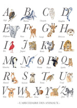 Cadre affiche aquarelle L' abécédaire des Animaux image 1