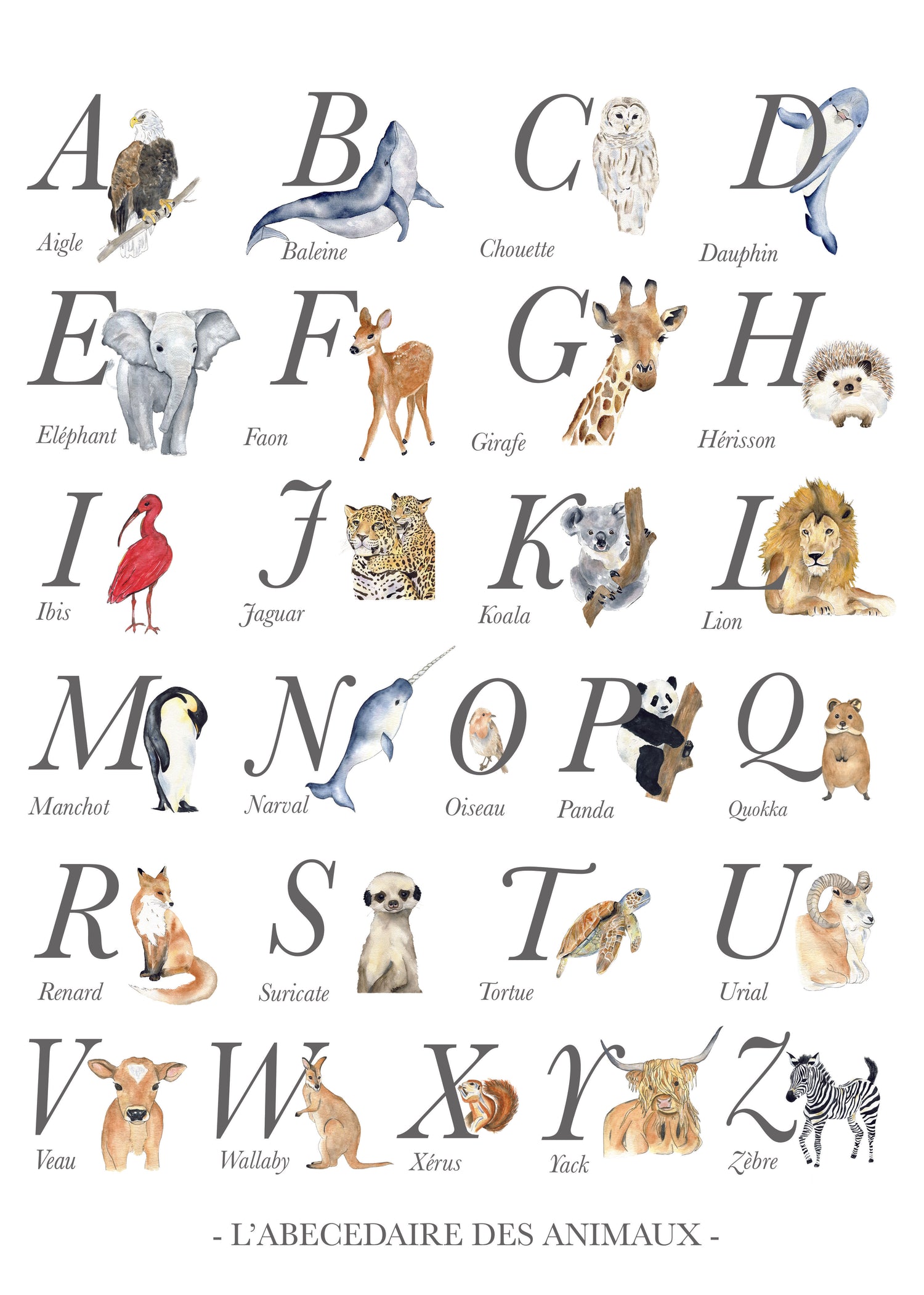 Cadre affiche aquarelle L' abécédaire des Animaux image 1