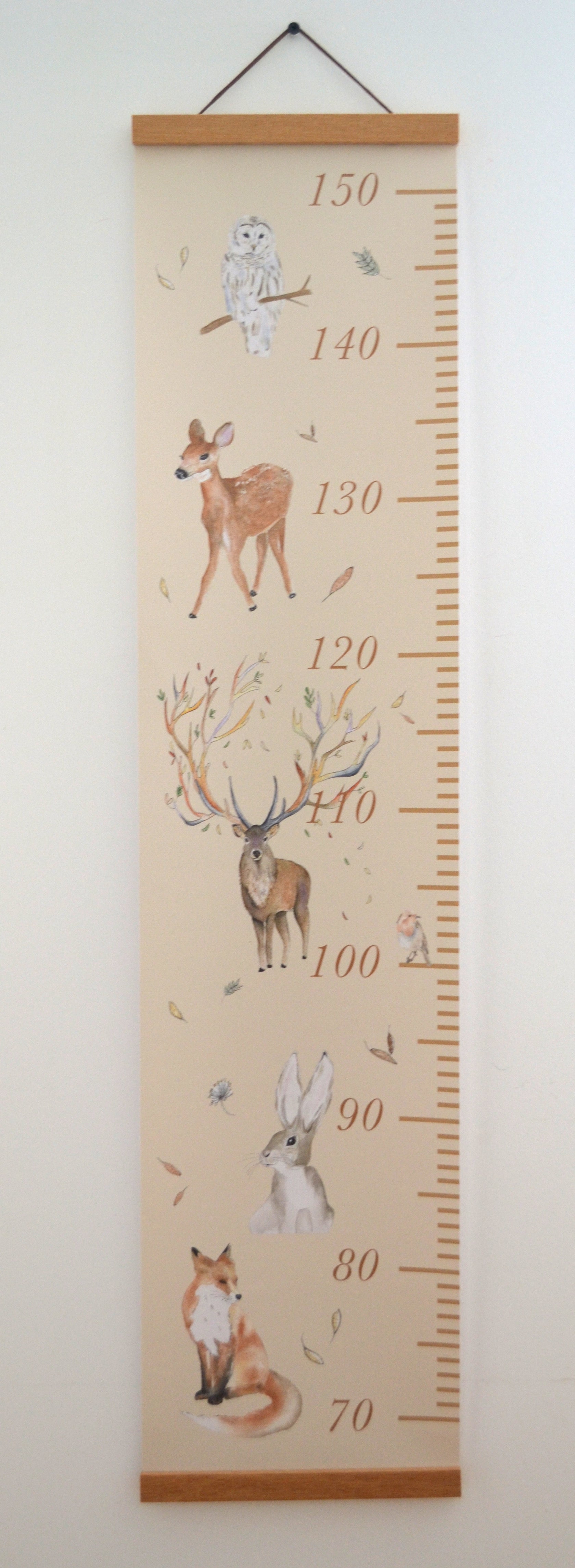 Toise animaux de la Forêt Illustration aquarelle image 4