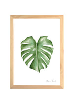 Cadre affiche aquarelle Feuille Monstera image 0