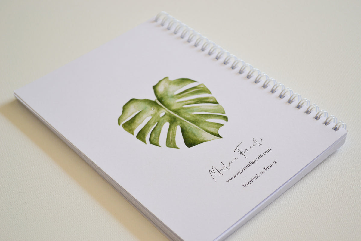 Carnet Koala image 2