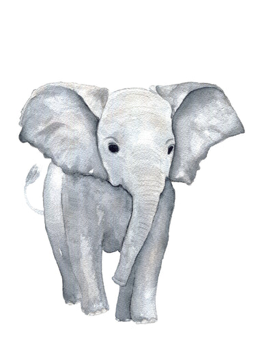 Cadre affiche aquarelle Eléphant Louis image 3