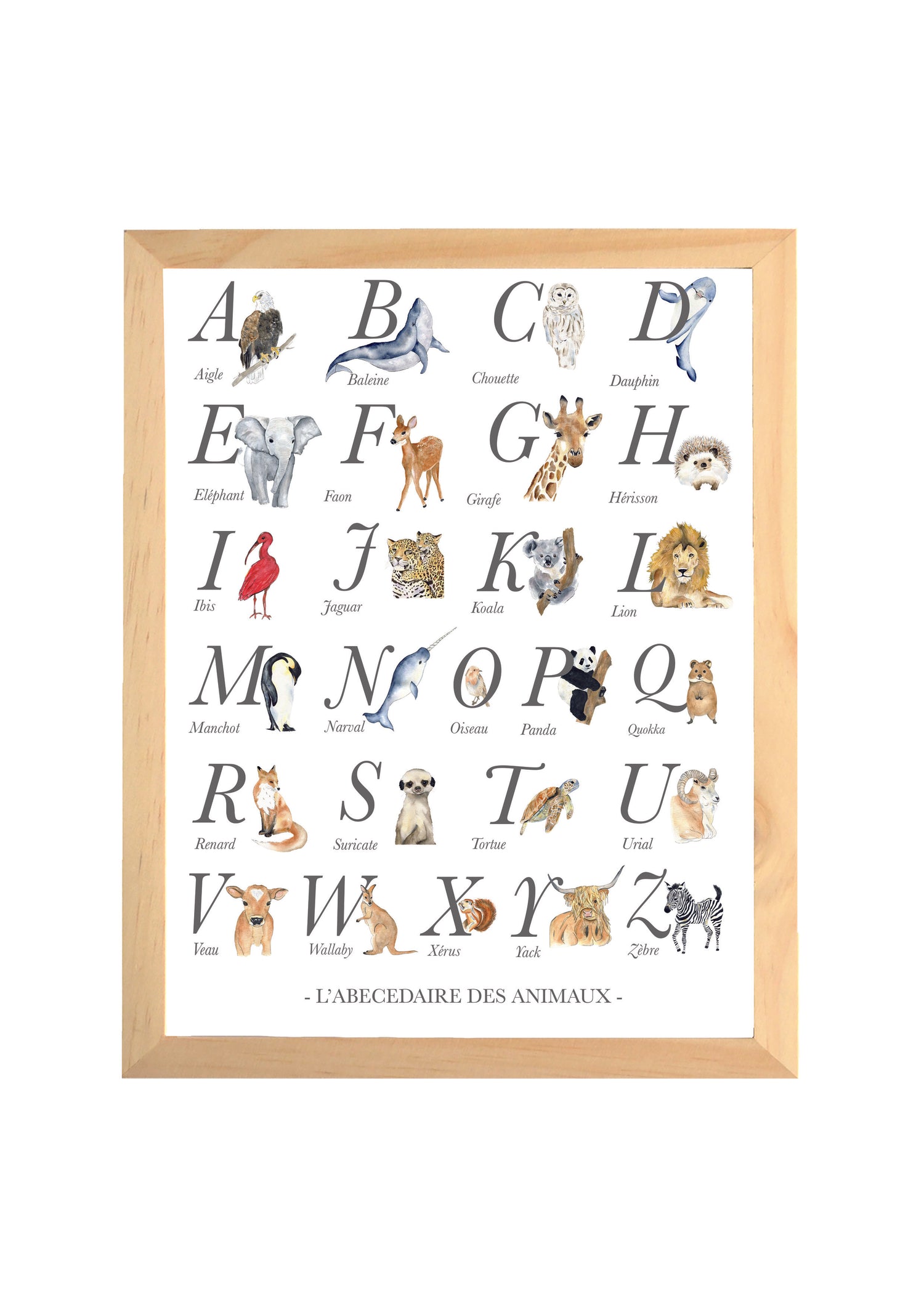 Cadre affiche aquarelle L' abécédaire des Animaux