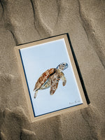 Illustration aquarelle tortue de mer pour décoration chambre enfant