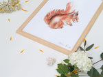 Cadre avec affiche aquarelle écureuil pour décorer une chambre enfant dans le thème de la forêt.