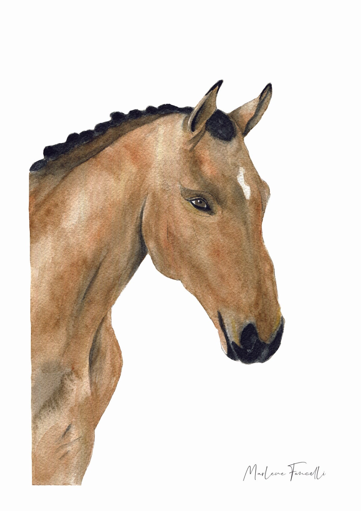 Cadre illustration aquarelle enfant d’un cheval idéal pour décorer une chambre d’enfant ou pour les fans Cadre illustration aquarelle enfant d’un cheval idéal pour décorer une chambre d’enfant ou pour un fan d’équitation 
