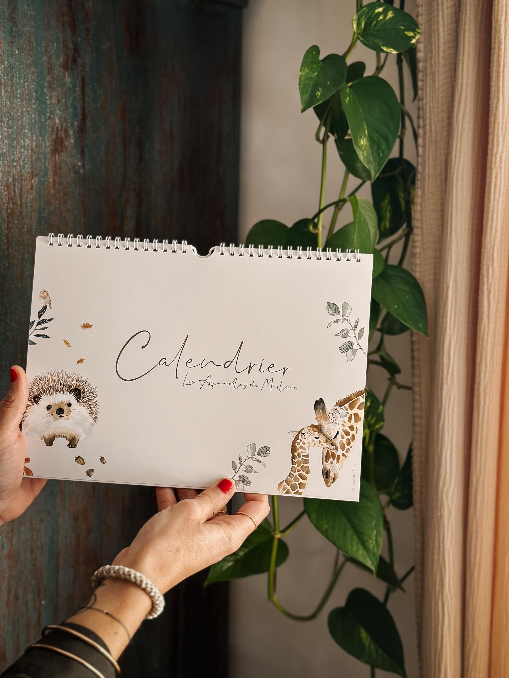 Calendrier anniversaire et perpétuel animaux aquarelle