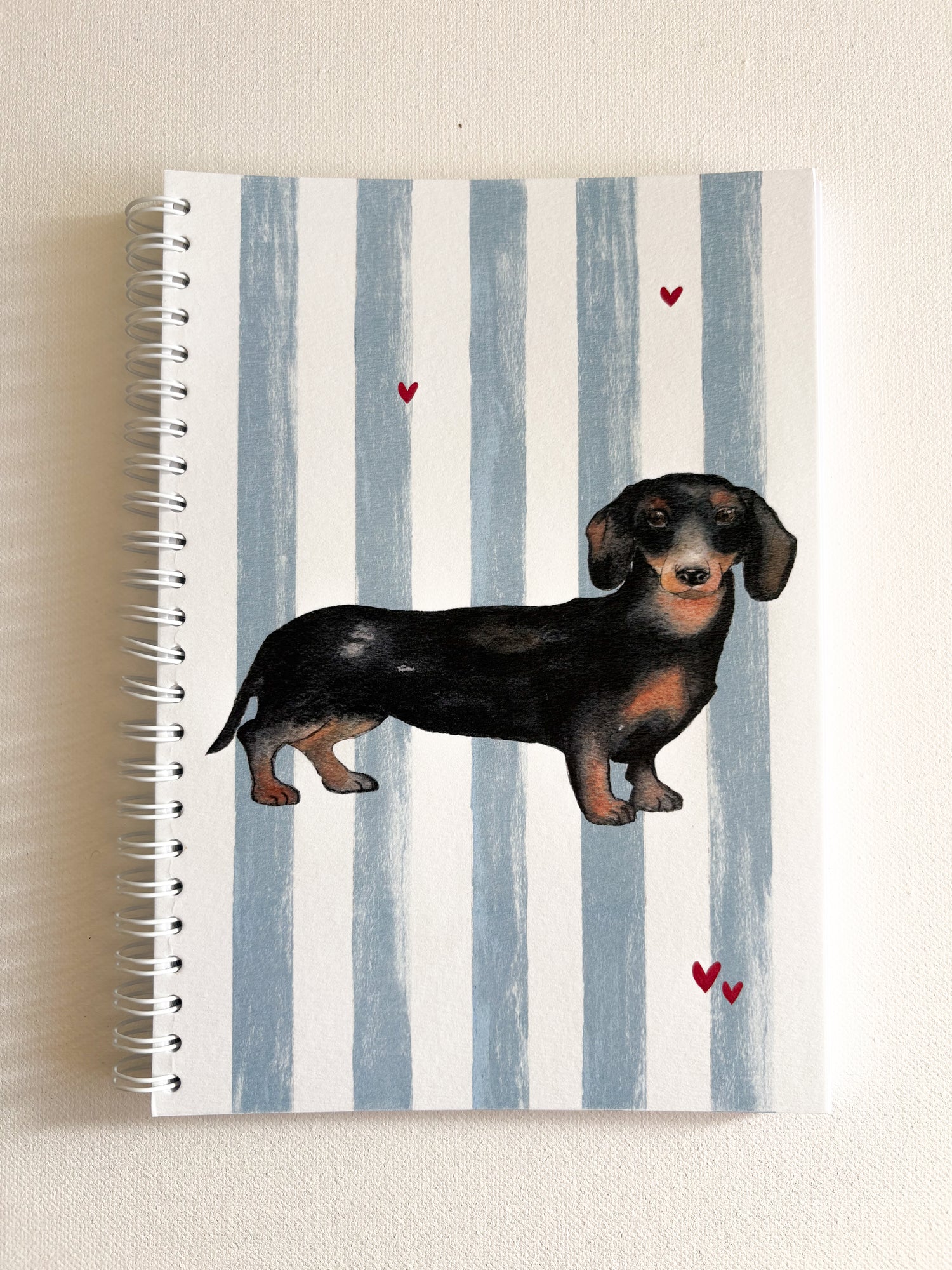 Carnet illustration aquarelle Teckel