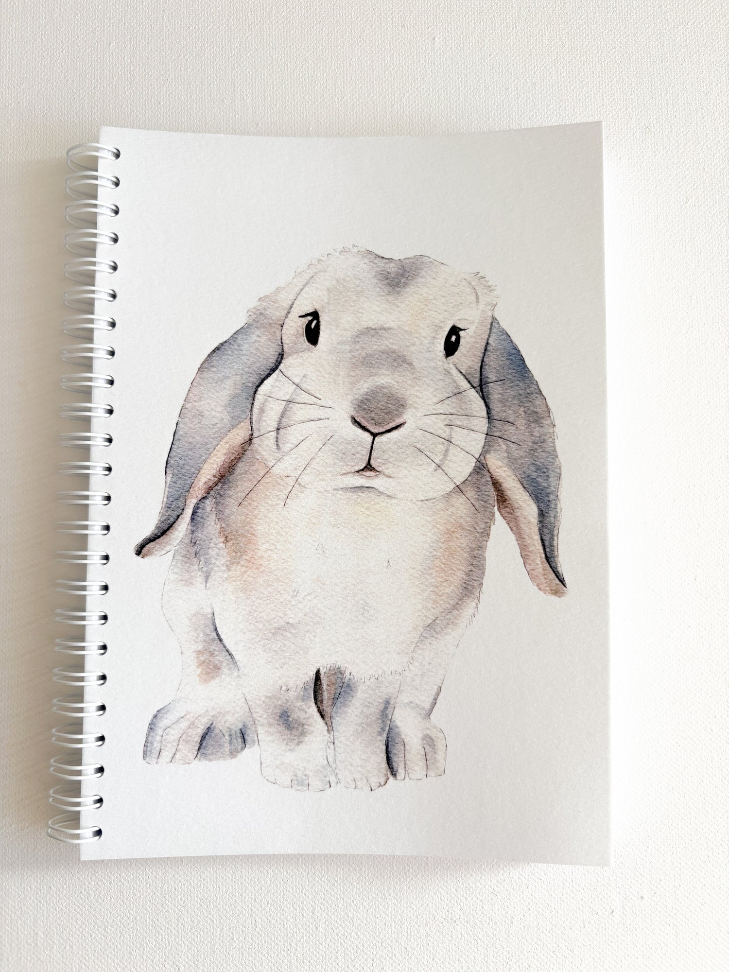 Carnet illustration aquarelle lapin bélier