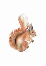 Cadre avec affiche aquarelle écureuil pour décorer une chambre enfant dans le thème de la forêt.