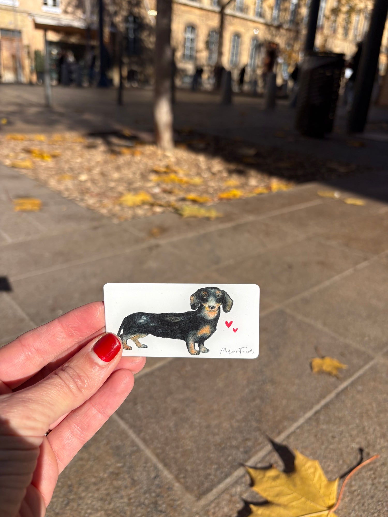 Magnet Aquarelle Animaux