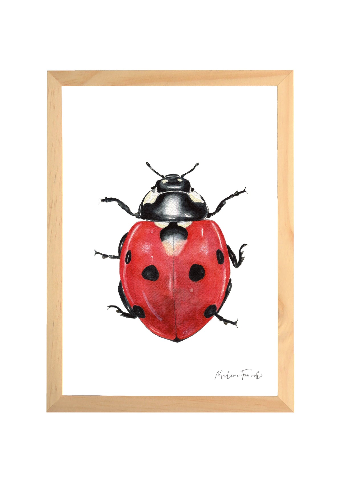 Cadre avec affiche aquarelle insecte Coccinelle pour décoration chambre bébé