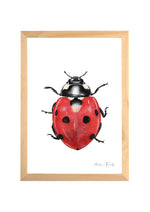 Cadre avec affiche aquarelle insecte Coccinelle pour décoration chambre bébé