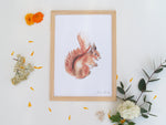 Cadre avec affiche aquarelle écureuil pour décorer une chambre enfant dans le thème de la forêt.